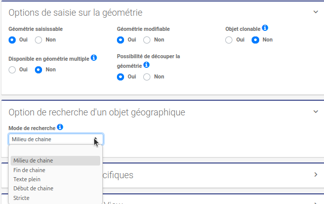 Options de saisie sur la géométrie
