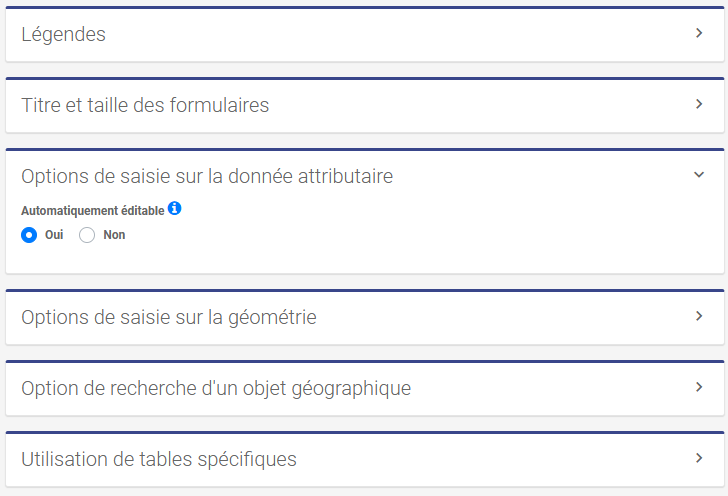 Option Objet automatiquement éditable